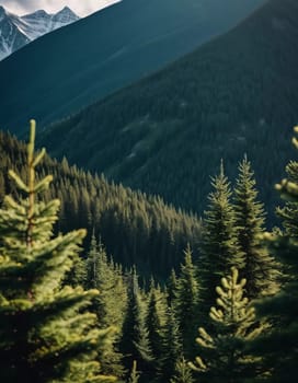 Majestic mountains tower over a serene spruce forest beneath a dramatic sky, showcasing nature beauty at dusk. Towering mountains with rolling hills and moody sky highlighting peaceful wilderness. AI.