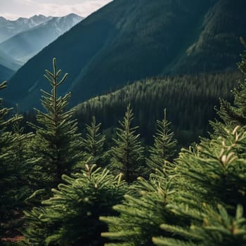 Majestic mountains tower over a serene spruce forest beneath a dramatic sky, showcasing nature beauty at dusk. Towering mountains with rolling hills and moody sky highlighting peaceful wilderness. AI.