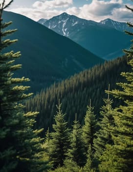 Majestic mountains tower over a serene spruce forest beneath a dramatic sky, showcasing nature beauty at dusk. Towering mountains with rolling hills and moody sky highlighting peaceful wilderness. AI.