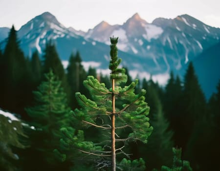 Majestic mountains tower over a serene spruce forest beneath a dramatic sky, showcasing nature beauty at dusk. Towering mountains with rolling hills and moody sky highlighting peaceful wilderness. AI.