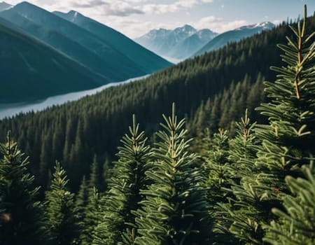 Majestic mountains tower over a serene spruce forest beneath a dramatic sky, showcasing nature beauty at dusk. Towering mountains with rolling hills and moody sky highlighting peaceful wilderness. AI.