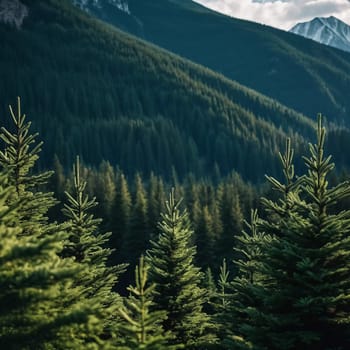Majestic mountains tower over a serene spruce forest beneath a dramatic sky, showcasing nature beauty at dusk. Towering mountains with rolling hills and moody sky highlighting peaceful wilderness. AI.
