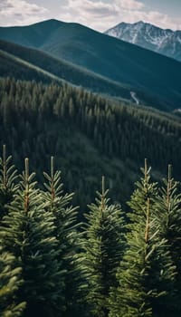 Majestic mountains tower over a serene spruce forest beneath a dramatic sky, showcasing nature beauty at dusk. Towering mountains with rolling hills and moody sky highlighting peaceful wilderness. AI.