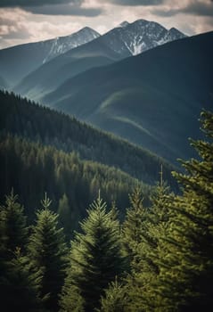 Majestic mountains tower over a serene spruce forest beneath a dramatic sky, showcasing nature beauty at dusk. Towering mountains with rolling hills and moody sky highlighting peaceful wilderness. AI.