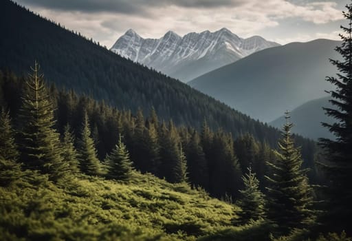 Majestic mountains tower over a serene spruce forest beneath a dramatic sky, showcasing nature beauty at dusk. Towering mountains with rolling hills and moody sky highlighting peaceful wilderness. AI.