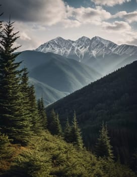 Majestic mountains tower over a serene spruce forest beneath a dramatic sky, showcasing nature beauty at dusk. Towering mountains with rolling hills and moody sky highlighting peaceful wilderness. AI.