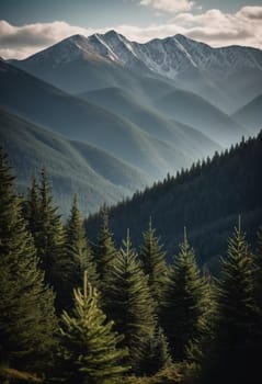 Majestic mountains tower over a serene spruce forest beneath a dramatic sky, showcasing nature beauty at dusk. Towering mountains with rolling hills and moody sky highlighting peaceful wilderness. AI.