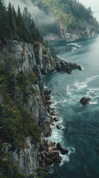 Pristine coastal forests overlooking rugged cliffs