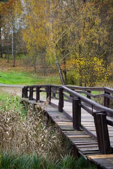 A peaceful autumn scene featuring a wooden footbridge amidst a forest with vibrant yellow trees and tranquil surroundings, perfect for outdoor inspiration.