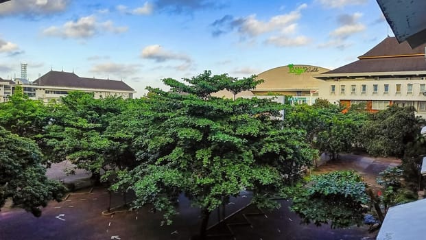 A view of lush green trees amidst urban architecture under a bright blue sky, capturing the harmony between nature and city life.