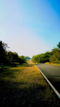 A picturesque view of a straight road cutting through a lush green forest on a bright day, with a clear blue sky overhead. Perfect for conveying serenity and adventure.