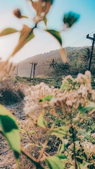 Beautiful rural landscape showcasing gentle hills, power lines, and vibrant foliage under a clear blue sky. Captures the serene charm and scenic beauty of nature in a tranquil setting.