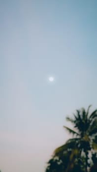 Beautiful blurred view of a serene sunset sky with a palm tree silhouette, capturing tranquil and calming nature vibes.