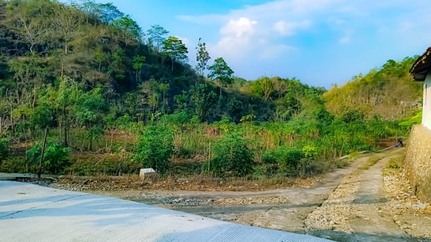 Idyllic rural scene featuring vibrant green hills and a peaceful dirt road under a bright blue sky, offering a sense of tranquility and natural beauty.