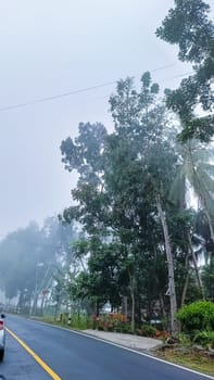 A serene roadside scene featuring a misty atmosphere with lush green trees and a car, capturing tranquility and nature's beauty.