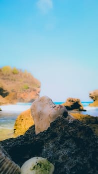 A close-up of a skull-shaped rock on a rocky beach shoreline, evoking mystery and the beauty of natural formations under clear skies.