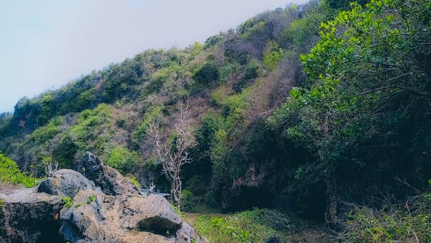 Explore a lush green mountainside adorned with vibrant foliage and rugged rocky terrain. This natural landscape evokes tranquility and the beauty of untouched wildernes