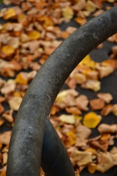 autumnal colored leaves on a street with an iron grid