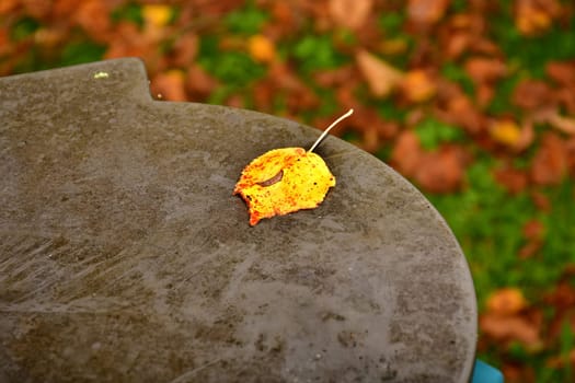 autumnal painted single leaf on a paper basket with fallen leaves in a blurred background