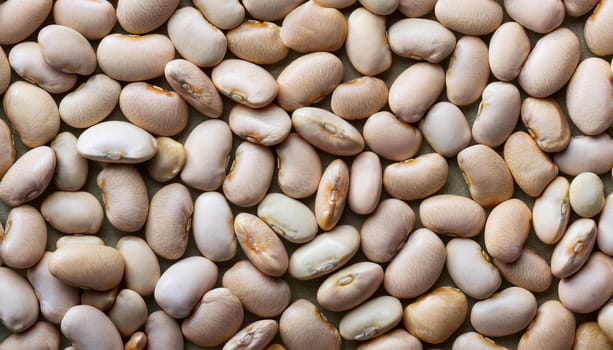 navy beans top flat view, AI generated image