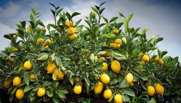 lemon fruit plant, AI generated image