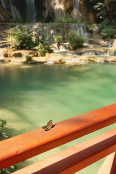 Butterfly on a red railing, handrail, rail in front of the Kuang Si Fall, Waterfall, close to Luang Prabang, Laos 2023