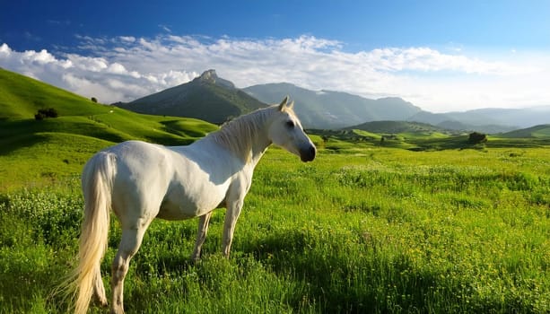 white horse in the wilderness, AI generated imagew