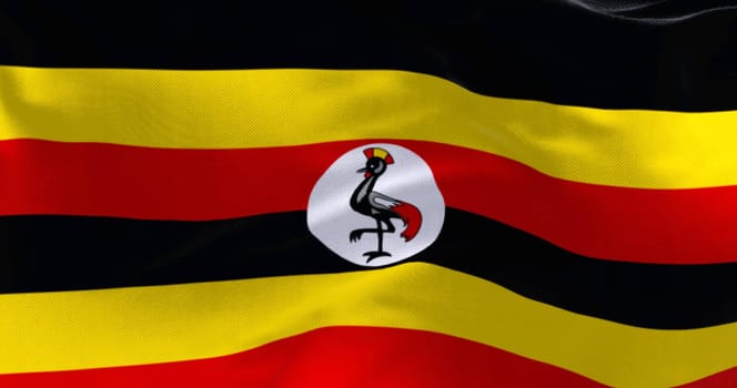 Uganda national flag waving. Six horizontal stripes of black, yellow, and red. White disc with a grey crowned crane in the center. Fabric textured background. Selective focus. 3d illustration render