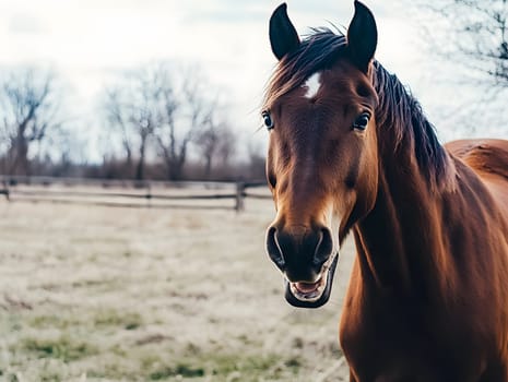 Happy Brown Horse Wild Pony Equine