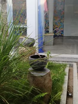 A serene indoor garden with lush greenery and a decorative stone pot. The setup provides a calming aesthetic, perfect for relaxation and contemplation.