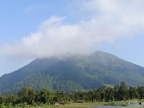 Breathtaking view of a lush green mountain partially covered by clouds, surrounded by verdant trees and farmland, capturing the serene beauty of nature.
