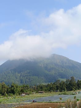 Breathtaking view of a lush green mountain partially covered by clouds, surrounded by verdant trees and farmland, capturing the serene beauty of nature.