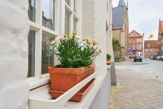 Flowers for decoration on a windowsill in the old town of Bruges in Belgium