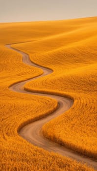 Winding dirt road through golden wheat fields at sunset. Concept of nature and tranquility.
