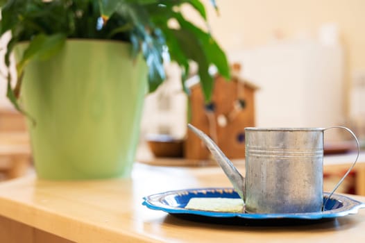 Close-up of a rustic metal watering can on a blue tray beside a green potted plant, creating a cozy indoor scene.