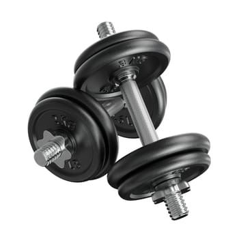 Cast Iron Black Adjustable Dumbbells, weightlifting gym equipment, side view, isolated on white background. 3D illustration