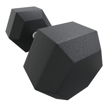 Blank Hex Dumbbell, weightlifting gym equipment, wide angle view, isolated on white background. 3D illustration
