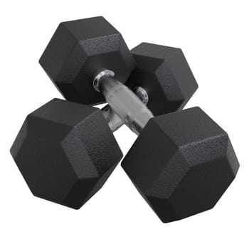 Blank Two Hex Dumbbells, weightlifting gym equipment, isolated on white background. 3D illustration