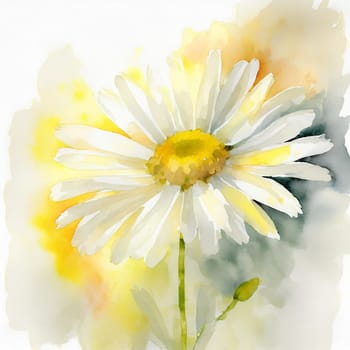 A delicate watercolor painting of a chamomile flower on a white background