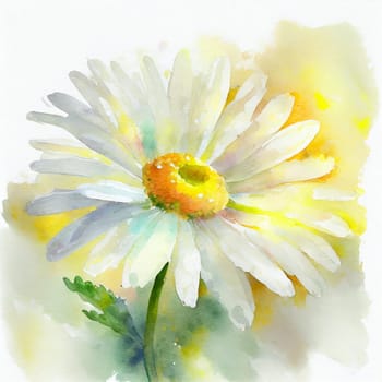 A delicate watercolor painting of a chamomile flower on a white background