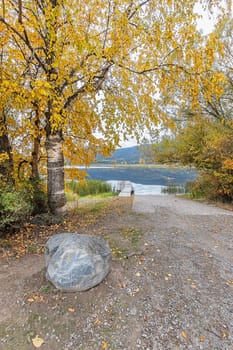 Trees with yellow leaves layer over the ramp to the dock on McArthur Lake in north Idaho.