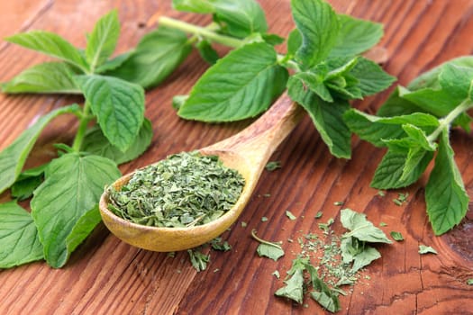 Display of dried mint leaves on a spoon surrounded by fresh mint leaves.