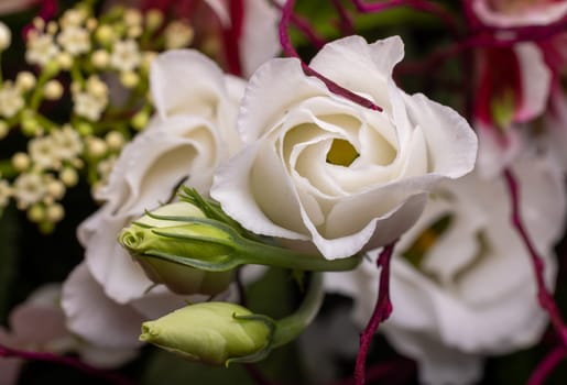a beautiful white rose in a floral bouquet