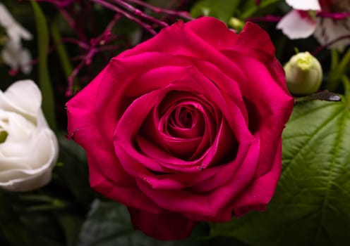 a beautiful red rose in a floral bouquet