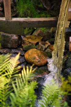 The picture shows a close-up of flowing water splashing over rocks. Blurred fern leaves can be seen in the foreground, suggesting a natural environment