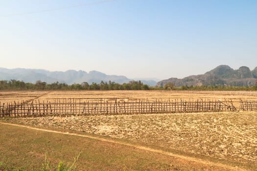 View onto some dried out farmland in dry season on the Thakhek Motorbike Loop, Laos 2023
