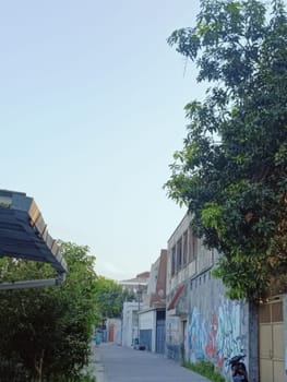 A quiet urban street scene showcasing buildings with colorful graffiti and lush trees. The peaceful atmosphere reflects a blend of nature and city life.