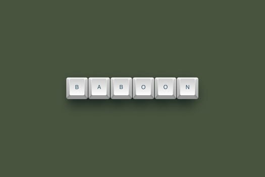 Baboon text on a 3d keyboard button with shadow, 3d Illustration