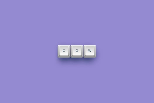 cow text on a 3d keyboard button with shadow, 3d Illustration