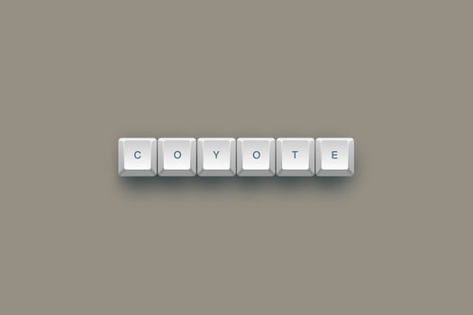Coyote text on a 3d keyboard button with shadow, 3d Illustration